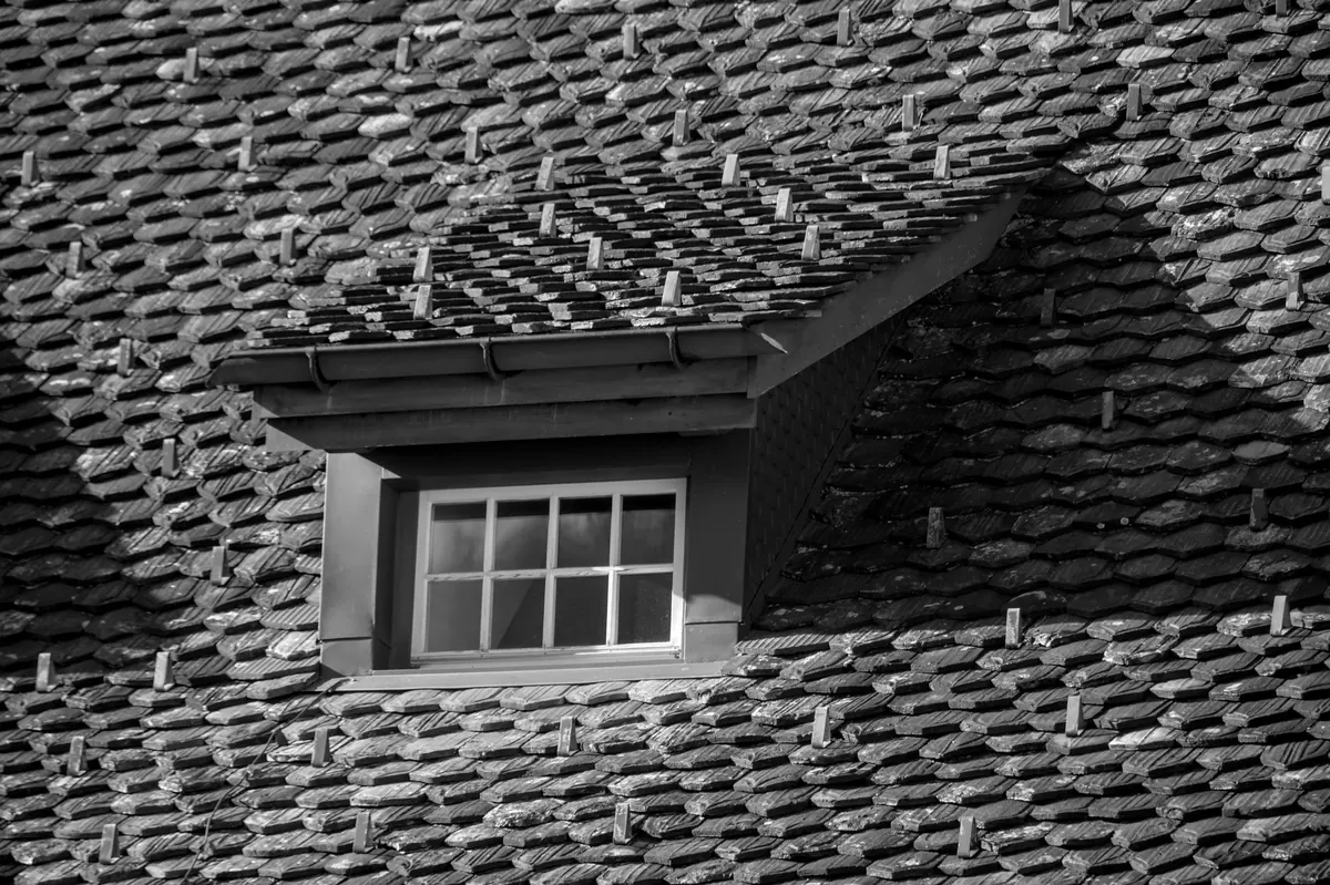Dormer vs Roof Window Loft Conversion: Which Adds More Value in the UK?